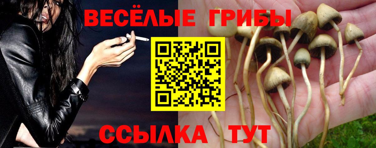 Галлюциногенные грибы GOLDEN TEACHER  Вход с VPN  Псилоцибиновые грибы Psilocybine cubensis  Лосино-Петровский 
